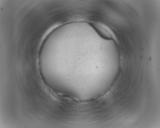 X0000079321051200612081929