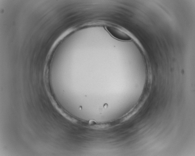 X0000079321053200612081929