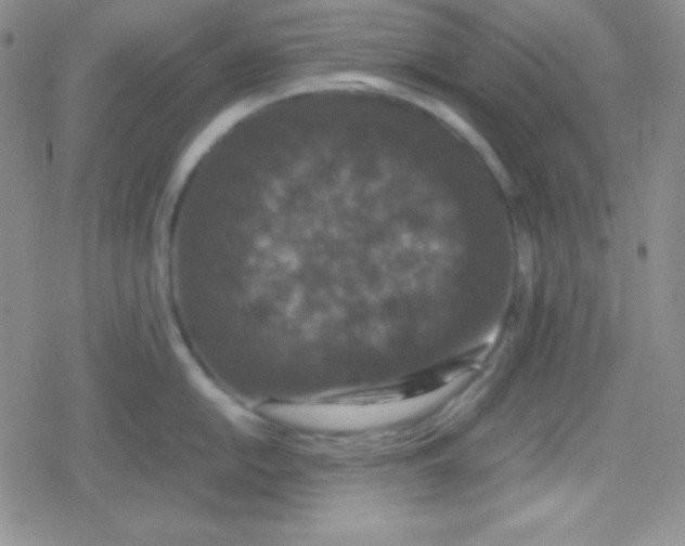 X0000079321054200612081929