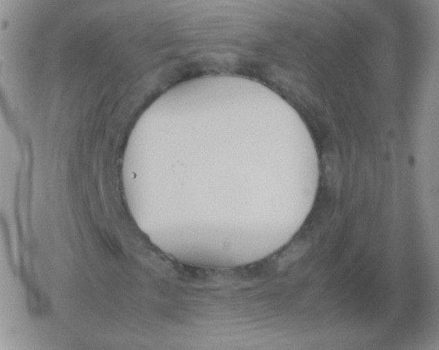 X0000079321057200612081928