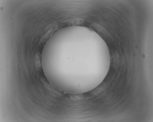 X0000079321058200612081928