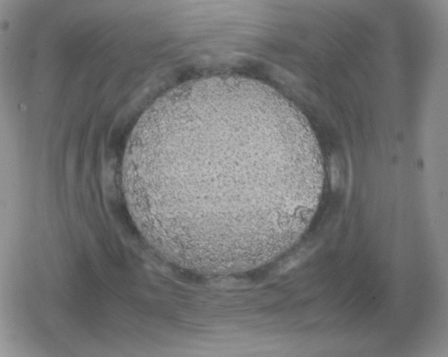 X0000079321059200612081928