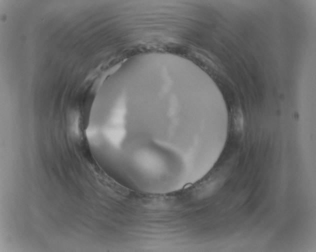 X0000079321060200612081928