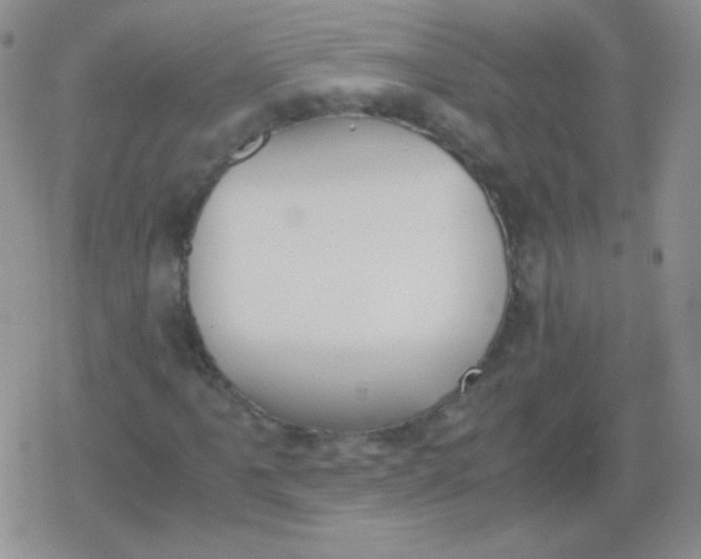 X0000079321061200612081928