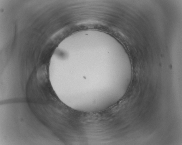 X0000079321062200612081928