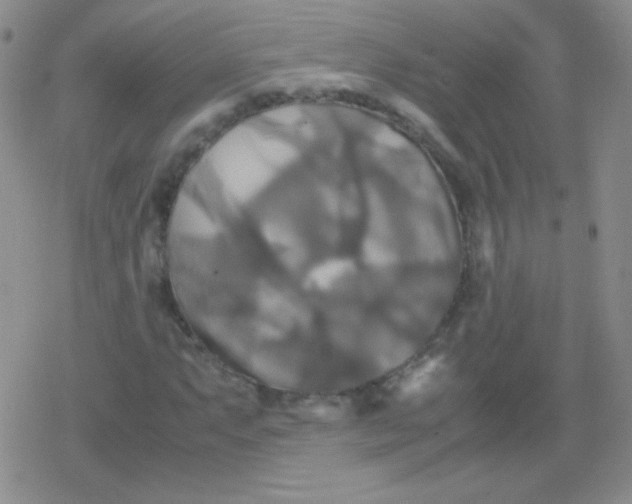 X0000079321063200612081928