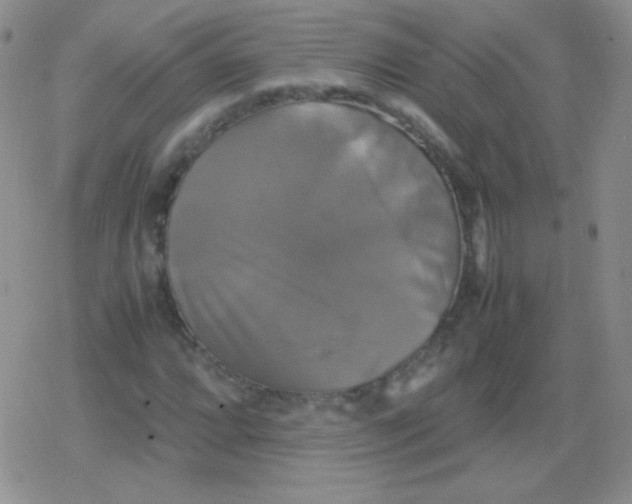 X0000079321064200612081928