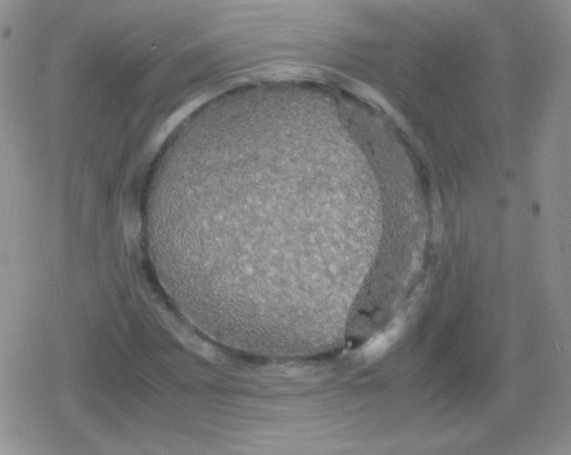 X0000079321065200612081928