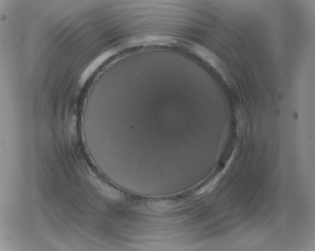 X0000079321066200612081928