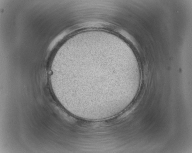 X0000079321067200612081928