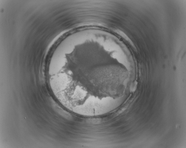 X0000079321068200612081928