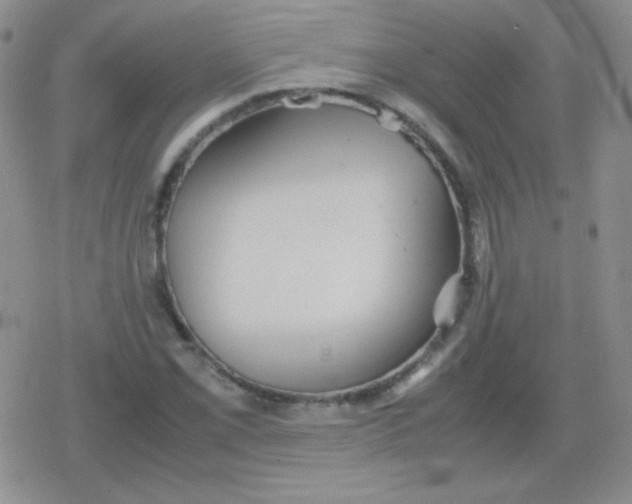 X0000079321069200612081928