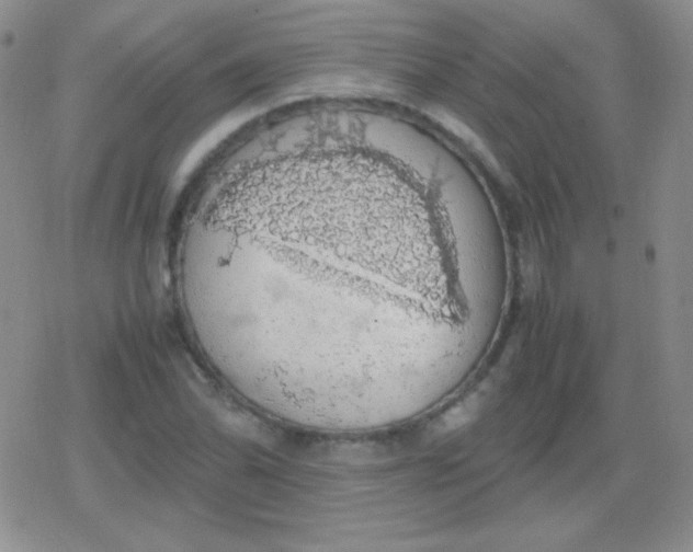 X0000079321070200612081928