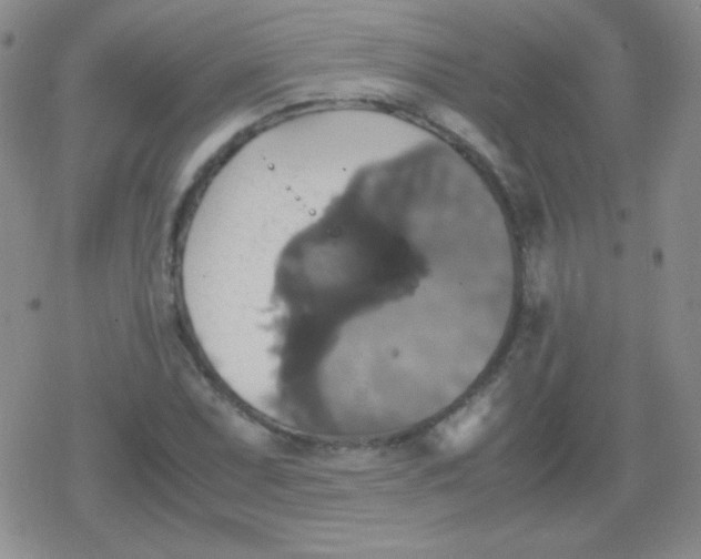 X0000079321071200612081928