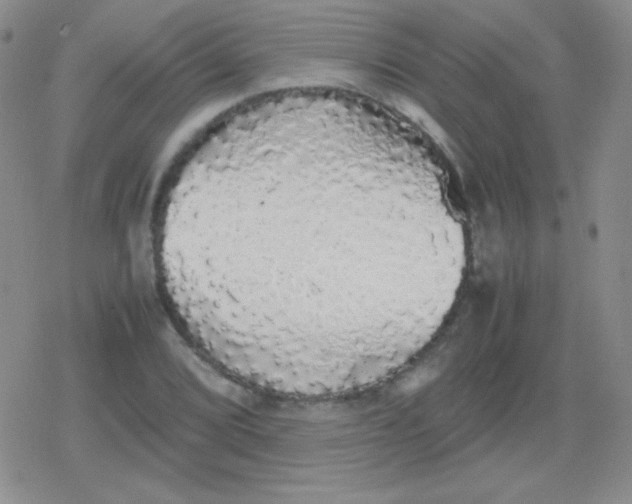 X0000079321072200612081928