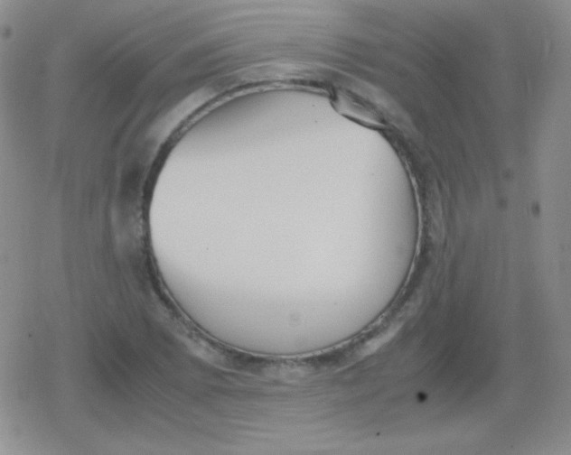 X0000079321073200612081928