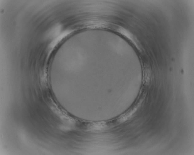 X0000079321074200612081928