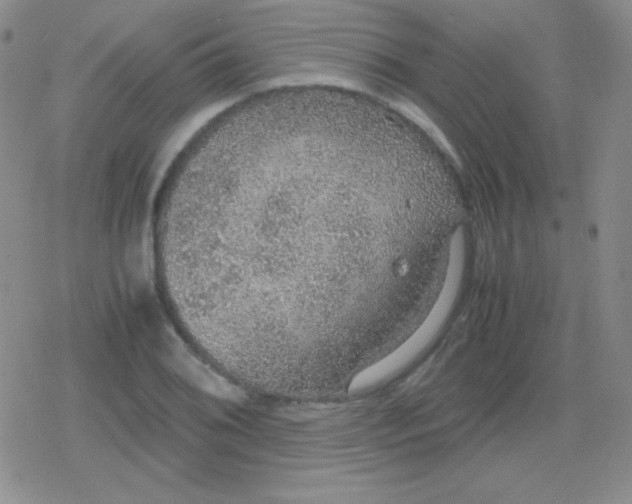 X0000079321076200612081928