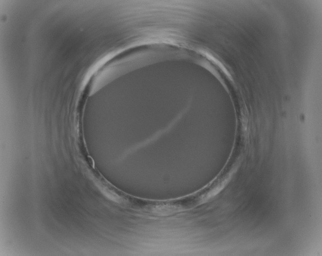 X0000079321077200612081928