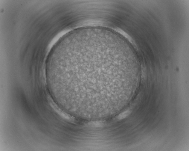 X0000079321078200612081928