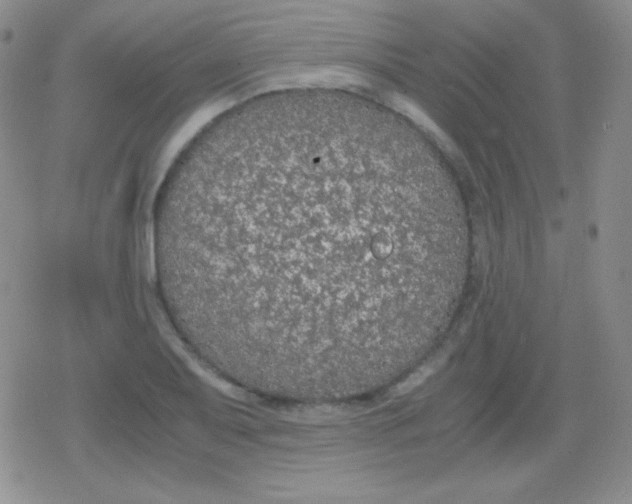 X0000079321079200612081928