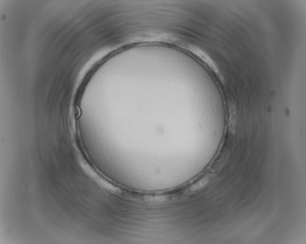 X0000079321080200612081928