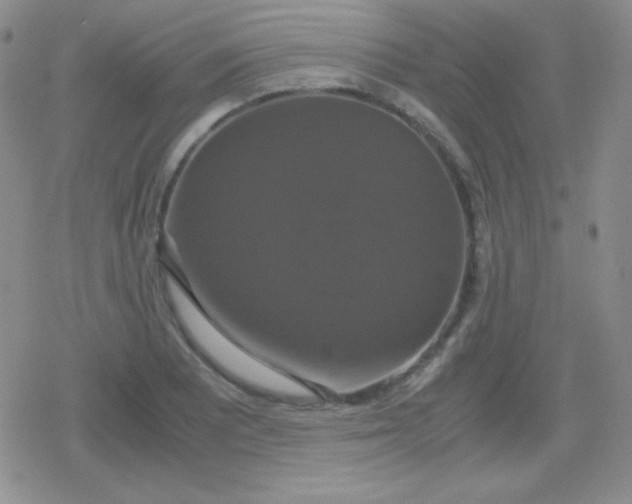 X0000079321081200612081928