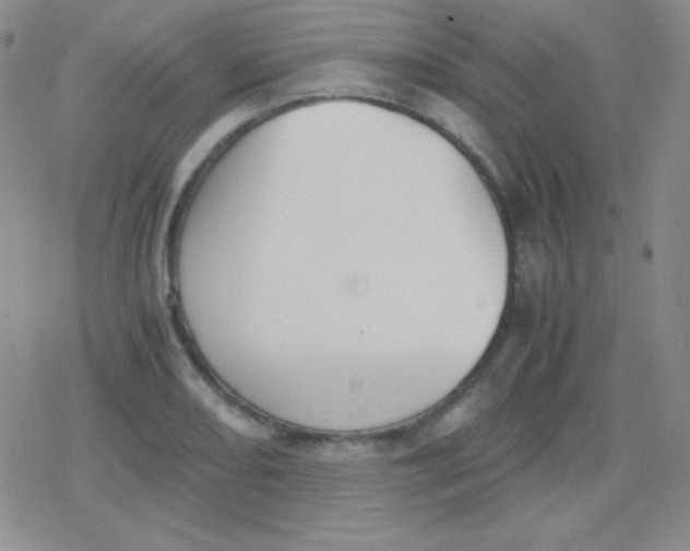 X0000079321082200612081928