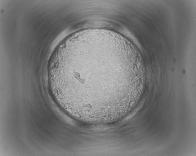 X0000079321083200612081928