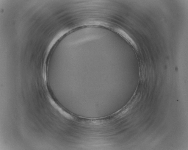 X0000079321084200612081928