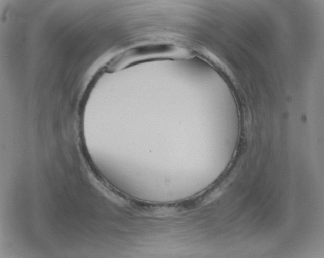 X0000079321085200612081928