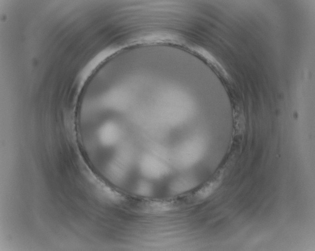 X0000079321086200612081928