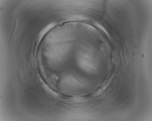 X0000079321087200612081928