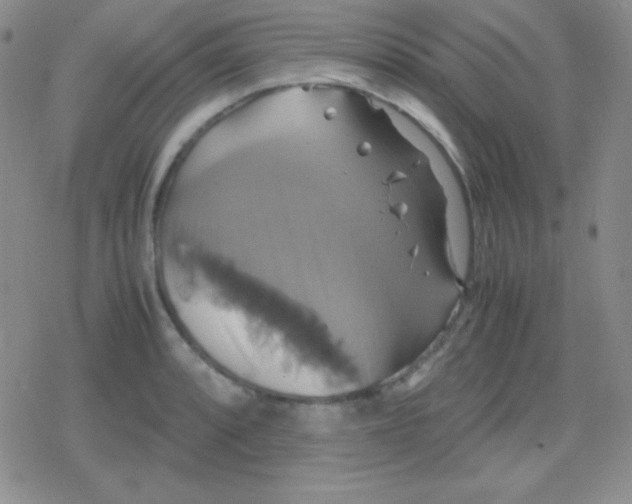 X0000079321088200612081928