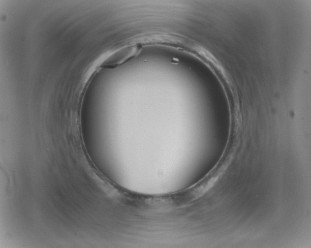 X0000079321089200612081928