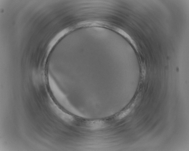 X0000079321090200612081928