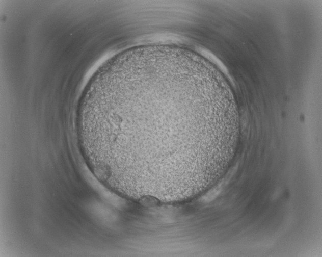 X0000079321091200612081928