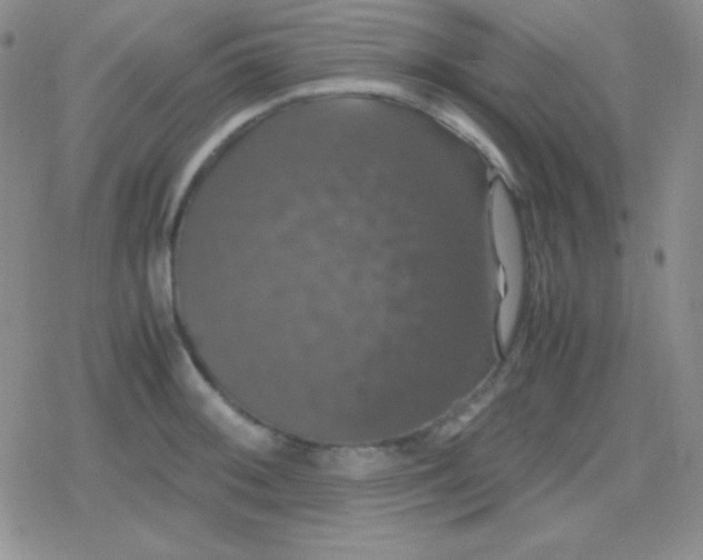 X0000079321092200612081928