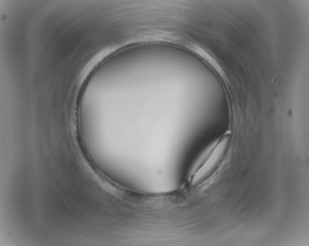 X0000079321093200612081928