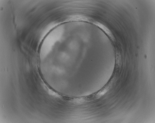 X0000079321094200612081928