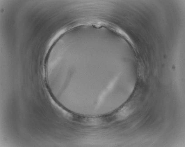 X0000079321095200612081928