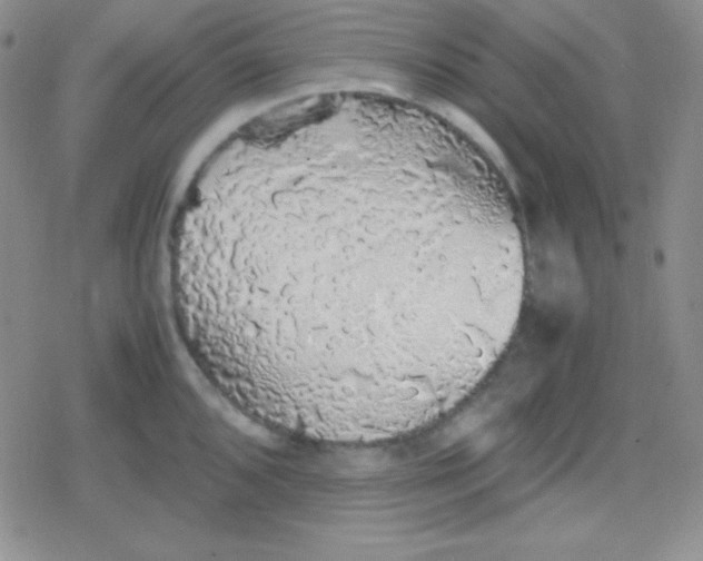 X0000079321096200612081928