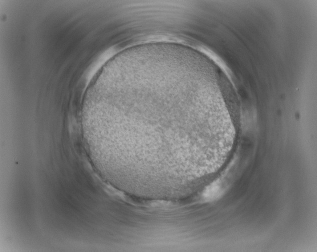 X0000079321097200612081928