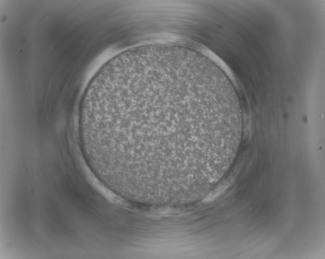 X0000079321099200612081928