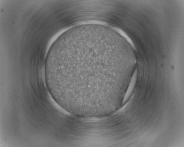 X0000079321100200612081928