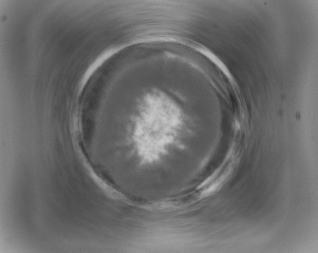 X0000079321101200612081928