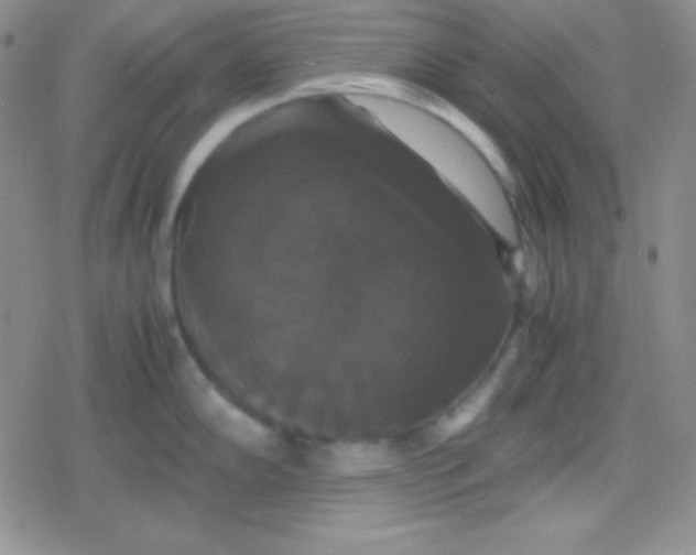 X0000079321102200612081928