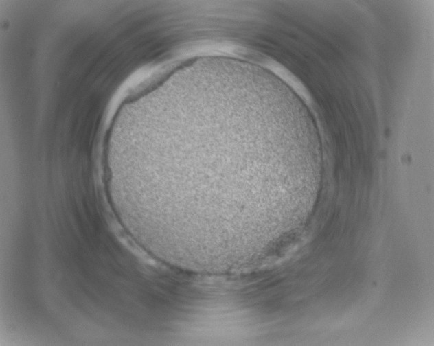 X0000079321104200612081928