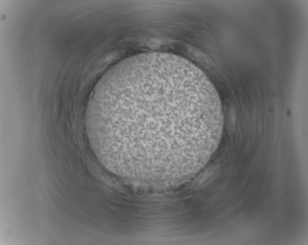 X0000079321105200612081927