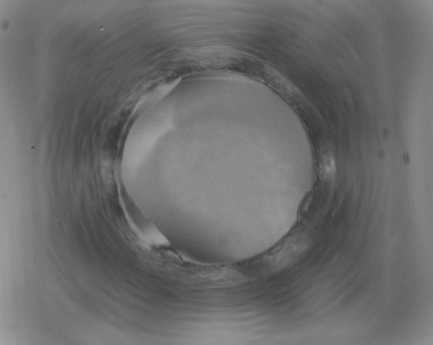 X0000079321108200612081927